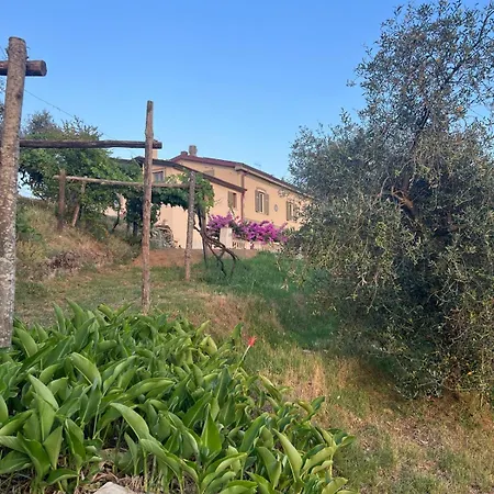 Forma Alta 59 Vineyard Reserve * Avenza
