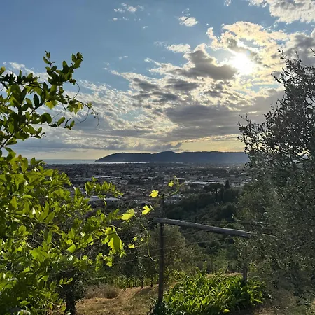 Διαμέρισμα Forma Alta 59 Vineyard Reserve *