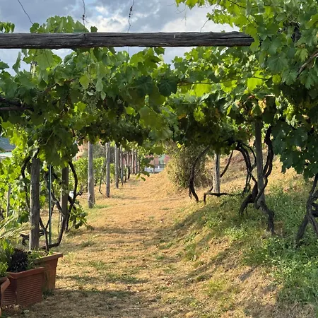 Lejlighed Forma Alta 59 Vineyard Reserve *