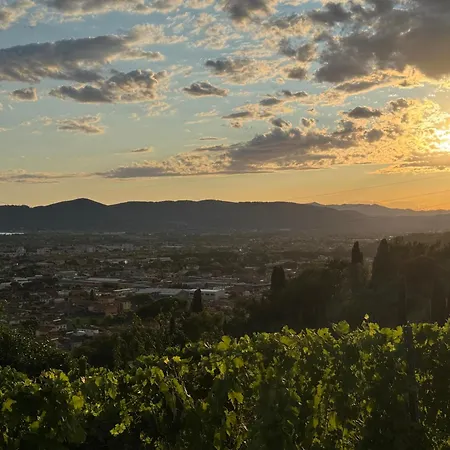 Διαμέρισμα Forma Alta 59 Vineyard Reserve *