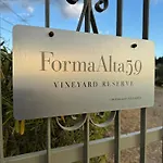 Forma Alta 59 Vineyard Reserve Daire *