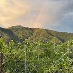 Daire Forma Alta 59 Vineyard Reserve