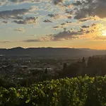 Daire Forma Alta 59 Vineyard Reserve *