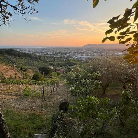 Forma Alta 59 Vineyard Reserve Apartment *