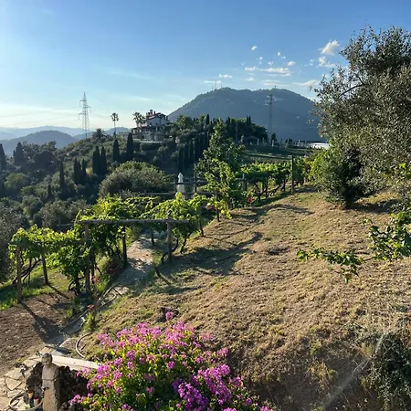 Apartment Forma Alta 59 Vineyard Reserve *