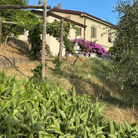 Forma Alta 59 Vineyard Reserve Apartamento